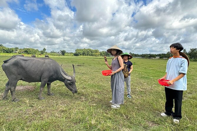 Exploring organic farm & Vietnamese Culinary with Master chef - From hotel pickup to a 3:30 return: how your day really flows