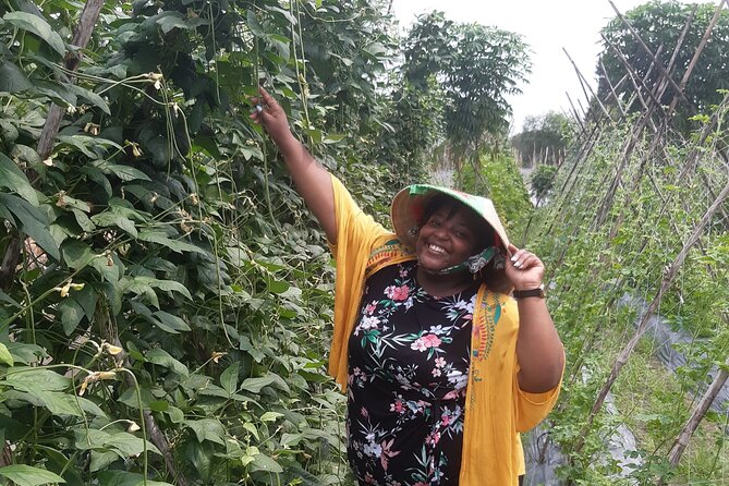 Exploring organic farm & Vietnamese Culinary with Master chef - Organic farm time: picking ingredients and seeing the full food chain