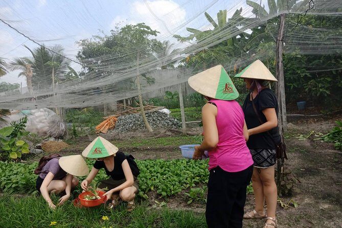 Farm-To-Table Healthy Cooking Class in Ho Chi Minh City - The Farm Tour: Where the Ingredients Get Their Backstory