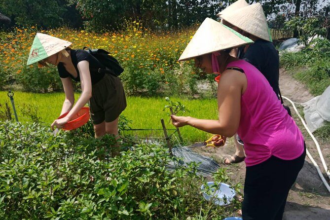 Farm-To-Table Healthy Cooking Class in Ho Chi Minh City - Open-Air Cooking With Guided, Health-Forward Techniques