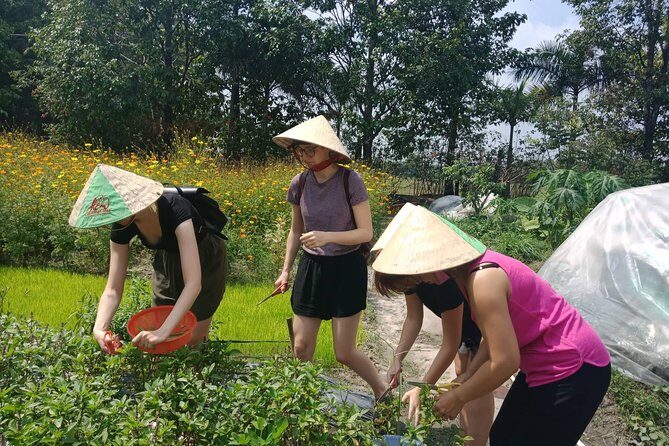 Farm-To-Table Healthy Cooking Class in Ho Chi Minh City - Lunch and Light Refreshments: Eating the Results (Not a Separate Meal)