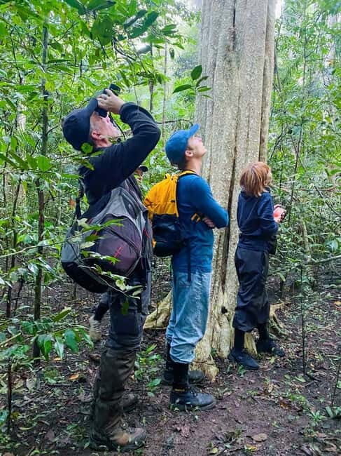 From HCM: Cat Tien Park Jungle Day Trip with Optional 2D1N - Price and Value: Why $137 Can Make Sense