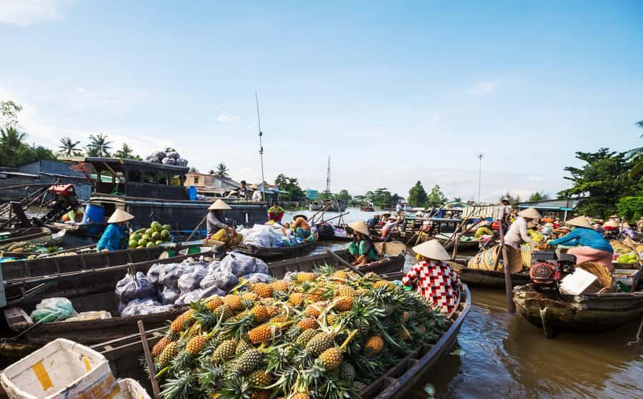 From HCM: Mekong Delta & Cai Rang Floating Market 2-Day Tour - Setting Out From Ho Chi Minh City: The Mekong Delta schedule that actually works