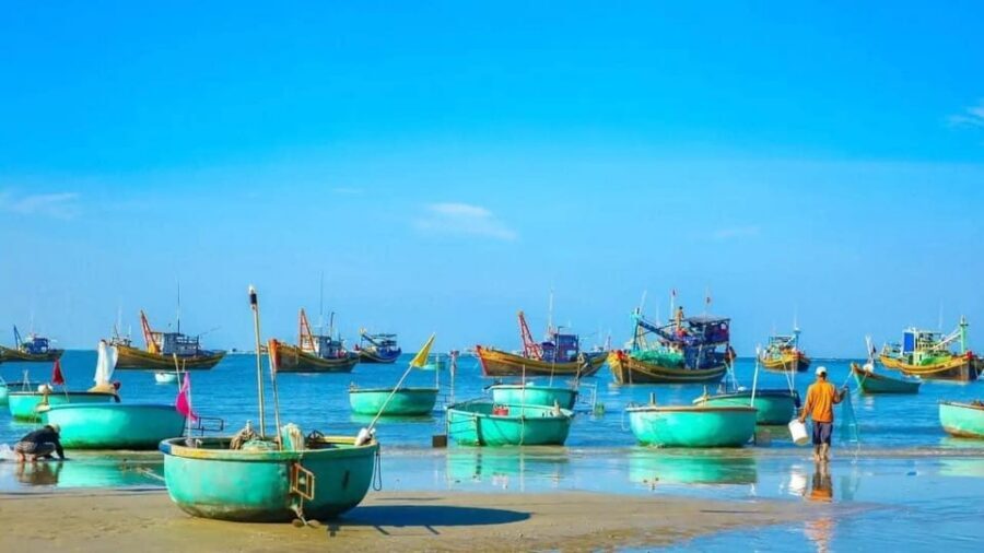 From Ho Chi Minh City: Relax In Mui Ne Beach In 1 Day - Suoi Tien fairy stream: the wading moment through sand and coconut