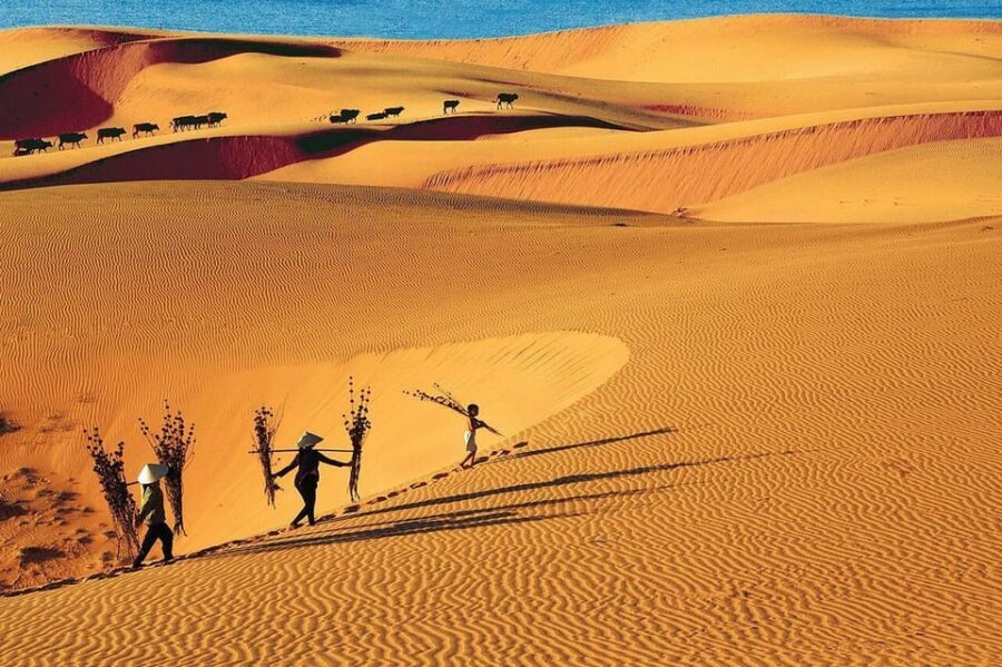 From Ho Chi Minh City: Relax In Mui Ne Beach In 1 Day - Who this tour is best for (and who might skip it)