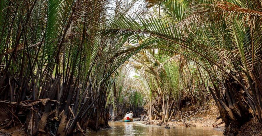 From Ho Chi Minh: Classic Mekong - My Tho, Ben Tre Full Trip - Why this Mekong Delta day feels “classic,” not gimmicky