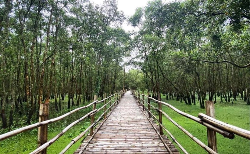 From Ho Chi Minh: Mekong Delta 3-Day Tour with Tra Su Forest - Key highlights worth your attention