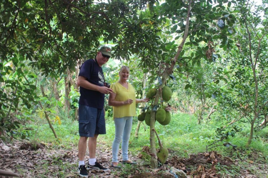 From Ho Chi Minh: Mekong Delta Private Day Tour - Key highlights at a glance