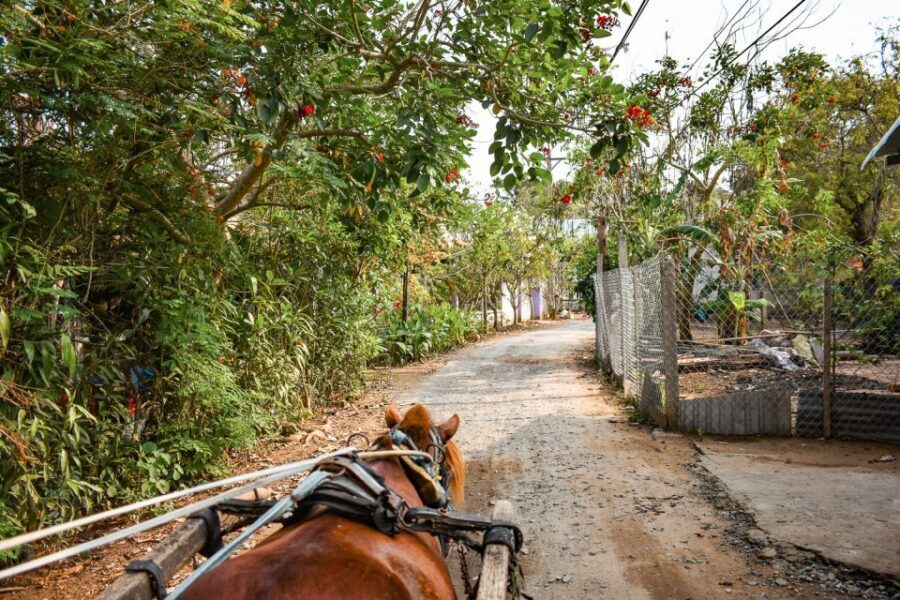 From Ho Chi Minh: Mekong Delta Private Day Tour - Vinh Trang Pagoda in My Tho: what to look for when you arrive