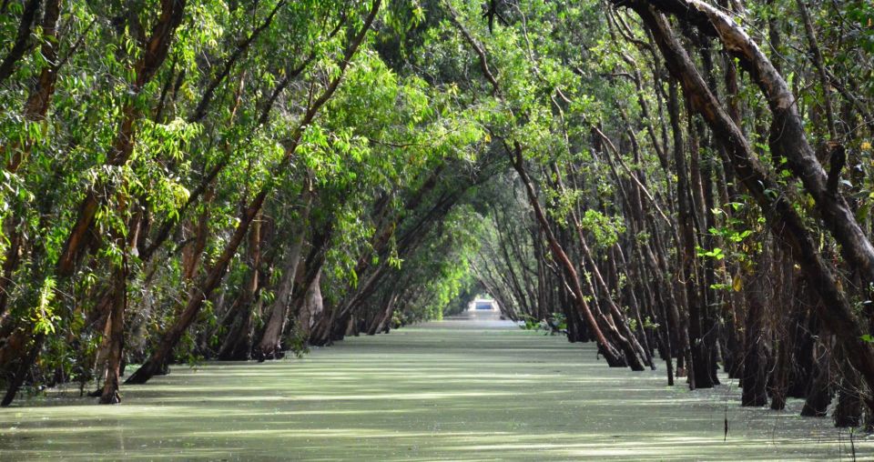From Ho Chi Minh: Three-Day Mekong Delta Tour - Day 2: Floating Village Morning, Cham Life, and Tra Su’s Bird Sanctuary Calm