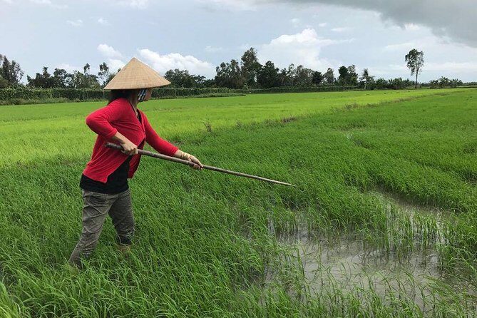 FULL Day - CAI RANG FLOATING MARKET, COOKING CLASS AND EXPLORE THE COUNTRYSIDE - Traditional Market Shopping for Your Cooking Class Ingredients
