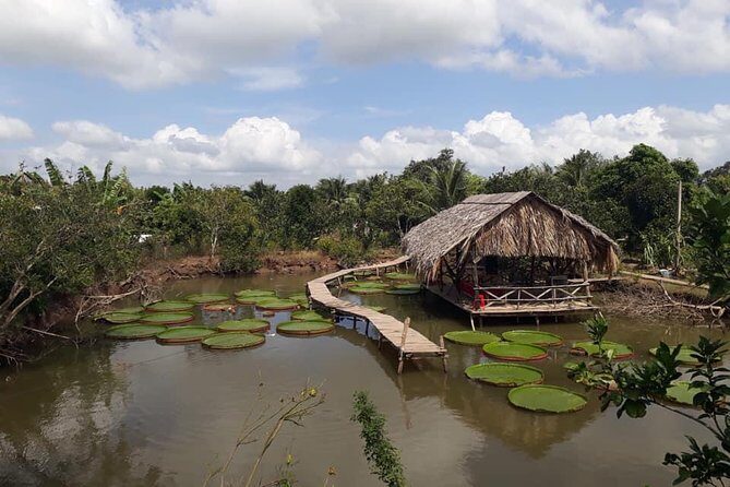 Full-day Cai Rang floating market - explore countryside, make bakery - from HCM - Cai Rang floating market breakfast: boats, fruit, and the working rhythm
