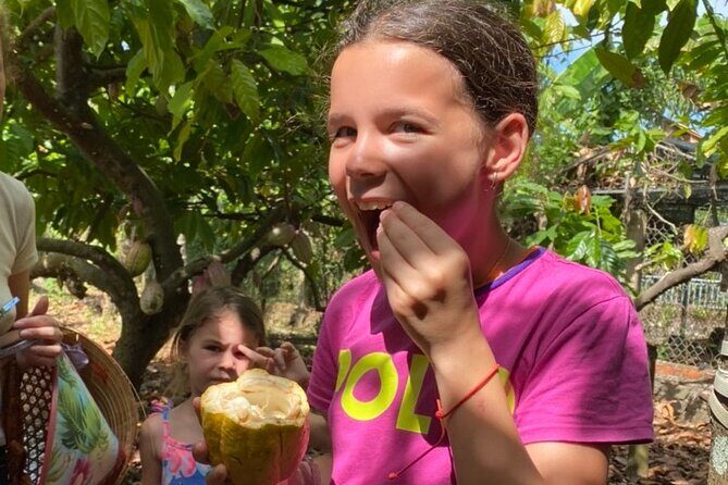 Full Day Experience to Farm and Chocolate - Key highlights to look forward to
