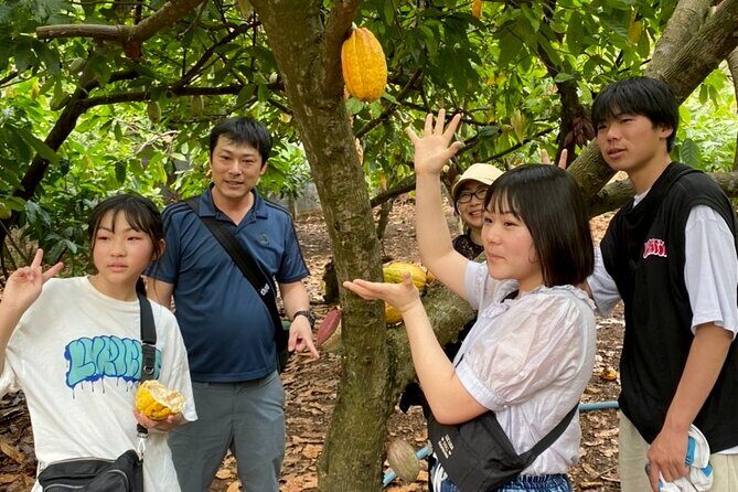 Full Day Experience to Farm and Chocolate - Making and decorating your own chocolate: the hands-on payoff