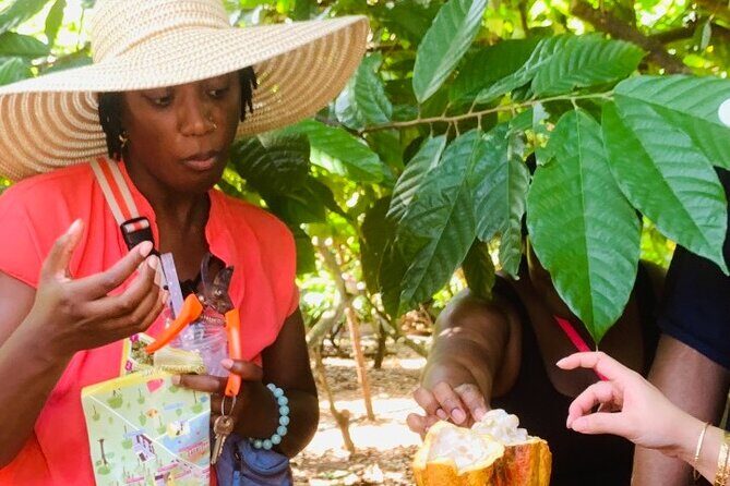 Full Day Experience to Farm and Chocolate - Cafe and souvenir shop: where you can keep tasting after lunch