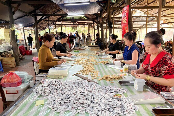 Full Day Guided Mekong Delta Day Tour in Vietnam (Multilingual) - Quick Practical Tips Before You Go