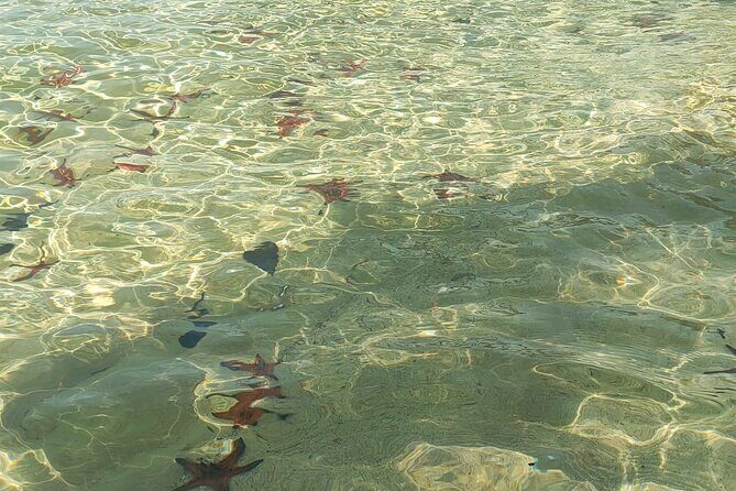 Full Day North of Phu Quoc Island Private Tour by Local Guide - Why this north-of-Phu Quoc day feels different