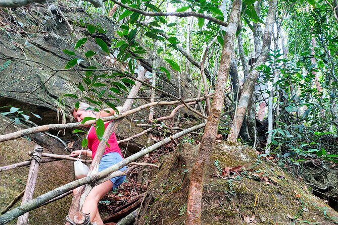 Full Day North of Phu Quoc Island Private Tour by Local Guide - Stop 3: Primeval forest time and a Phu Quoc pepper farm
