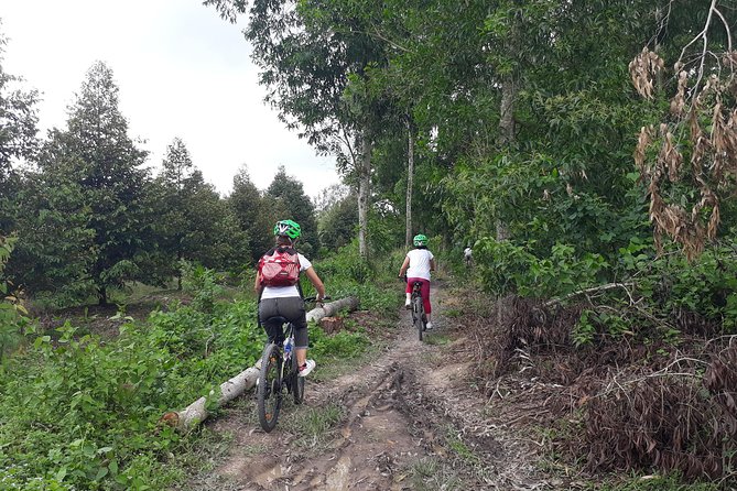 Full Day Off The Beaten Track the Mekong Delta. - Why This Mekong Delta Day Feels Local, Not Touristy