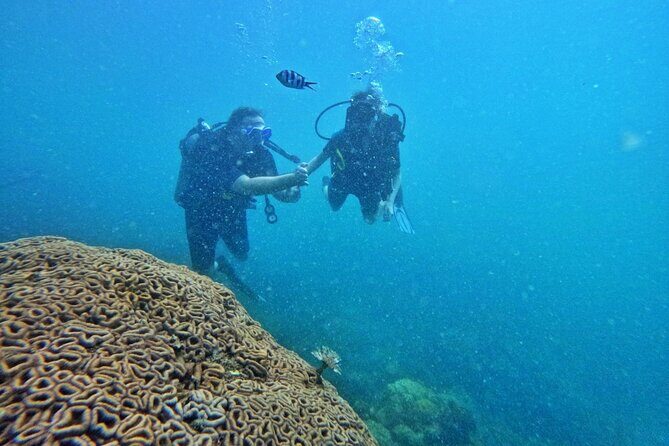 [GROUP] SCUBA DIVING For Beginners in Phu Quoc Island (TRY DIVE) - How the day starts in Phu Quoc (and why the timing matters)