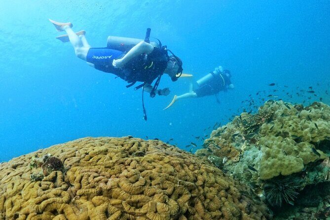 [GROUP] SCUBA DIVING for Certified Divers in Phu Quoc Island - Key highlights worth caring about