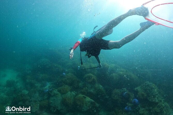 [GROUP] SCUBA DIVING for Certified Divers in Phu Quoc Island - What’s onboard: included gear, cold water, and basic comfort