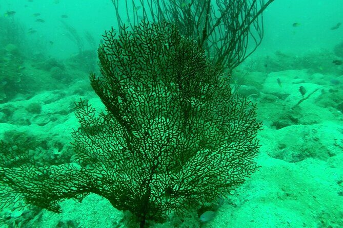 [GROUP] SCUBA DIVING for Certified Divers in Phu Quoc Island - The first underwater session near the An Thoi Islands reef