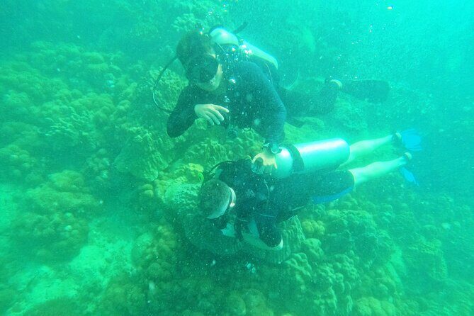 [GROUP] SCUBA DIVING for Certified Divers in Phu Quoc Island - Lunch on the boat, then a second reef time slot