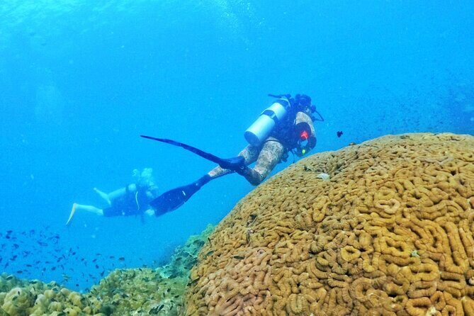 [GROUP] SCUBA DIVING for Certified Divers in Phu Quoc Island - Safety and small-group energy with an English-speaking instructor