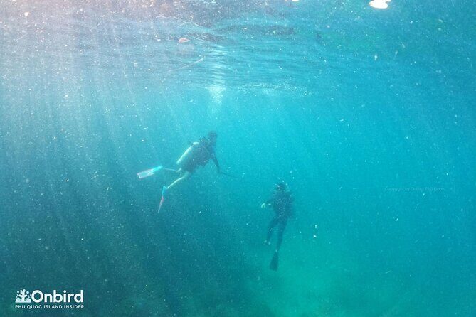 [GROUP] SCUBA DIVING for Certified Divers in Phu Quoc Island - Price and value: why $108 can make sense