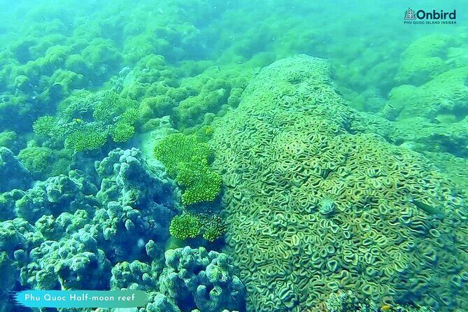 [GROUP] SCUBA DIVING for Certified Divers in Phu Quoc Island - Weather and site changes: expect a plan that adapts