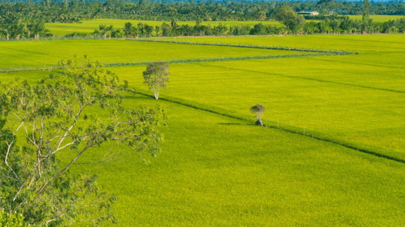 Haft Day from CanTho-LungNgocHoang: Visit Nature Reserved - Boat time on Hau Giang waterways