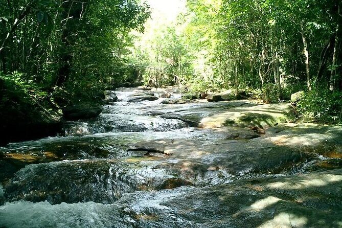 Half-day Exploring Phu Quoc Island by Bicycle - Meeting in Dương Đông and getting set up fast