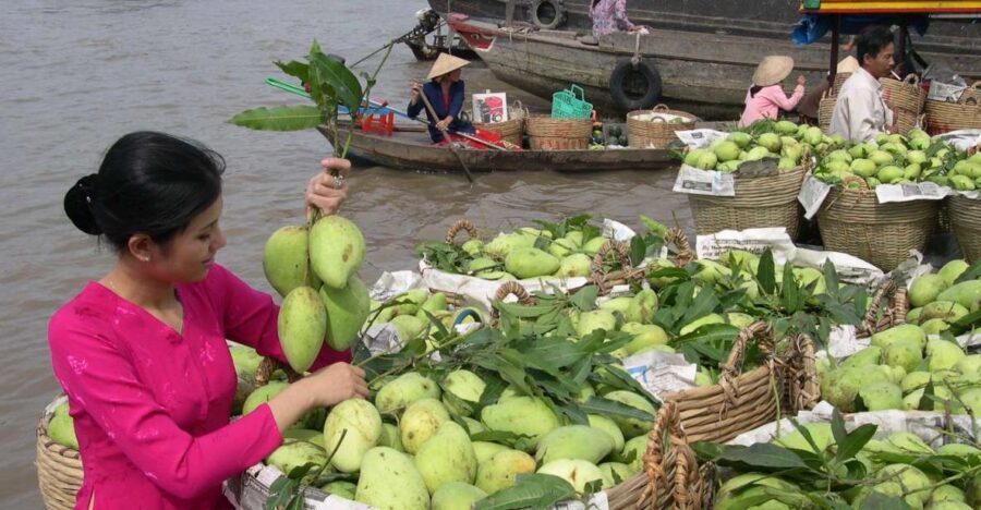 HCMC: Cai Rang Floating Market & Mekong Delta Private Tour - Cai Rang Floating Market: barter you can actually see up close