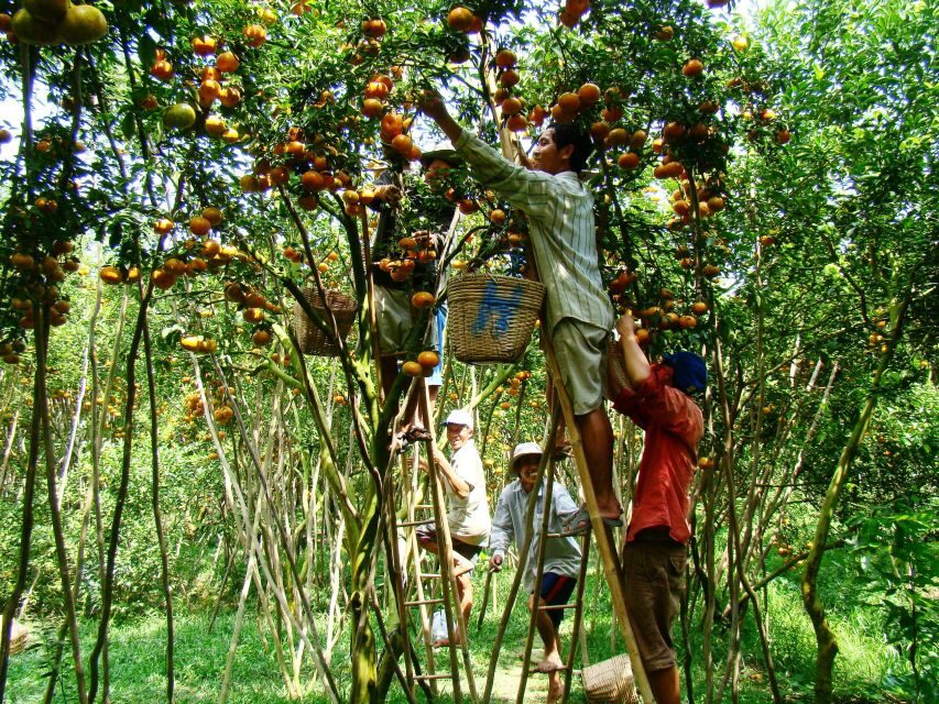 HCMC: Cai Rang Floating Market & Mekong Delta Private Tour - Sampan through narrow canals and coconut-lined waterways