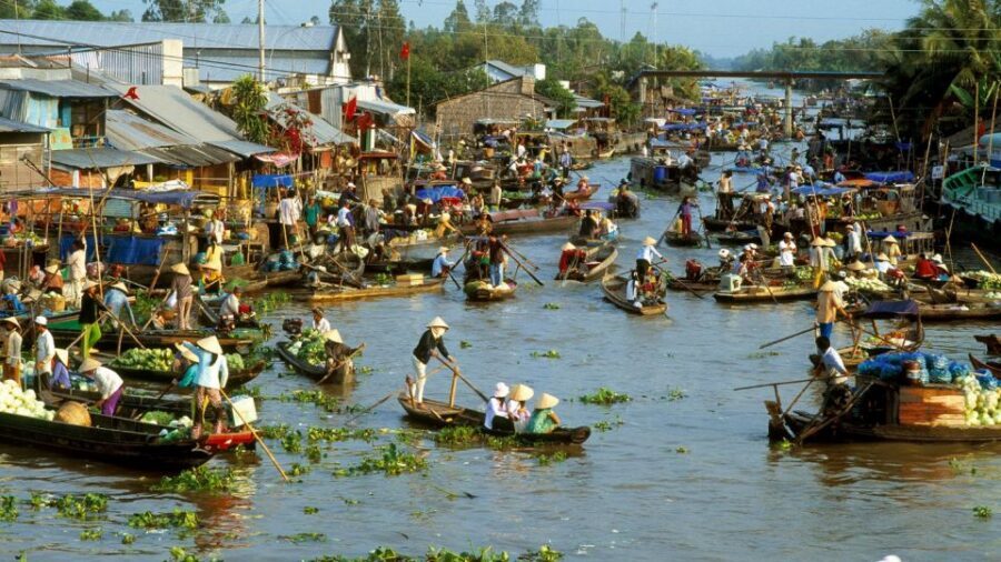 HCMC: Cai Rang Floating Market & Mekong Delta Private Tour - Bee farm break, honey tea, fruits, and village music