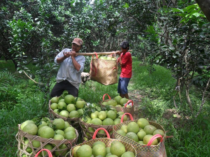 HCMC: Cai Rang Floating Market & Mekong Delta Private Tour - Private guide value: what the reviews say without the hype
