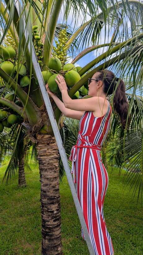 Ho Chi Minh: 1-Day Mekong Delta Tour-Floating Market & Islet - Fruit picking, monkey bridges, and seasonal tasting
