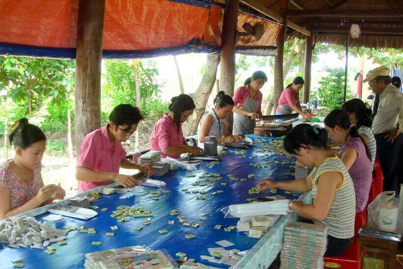 Ho Chi Minh: 3-Day Mekong Delta & Optional Exit to PhnomPenh - Cham Village and floating communities before your Phnom Penh option