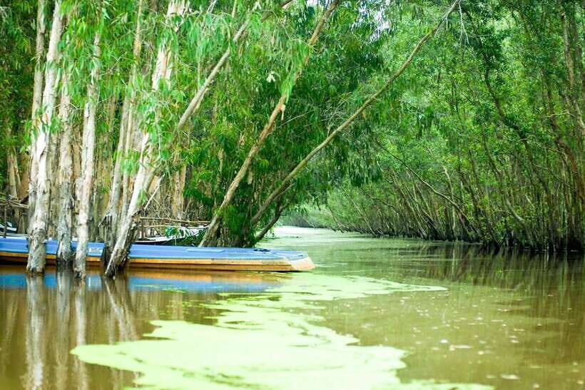 Ho Chi Minh: 3-Day Mekong Delta & Optional Exit to PhnomPenh - Practical tips: what to pack and how not to get cranky