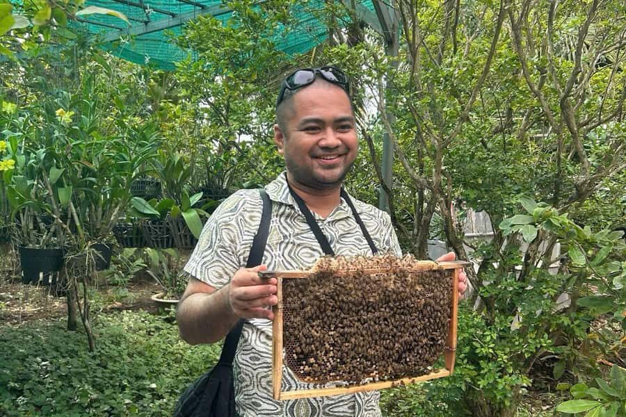 Ho Chi Minh: Adventurous Mekong Delta Full Day Tour - Coconut candy workshop and honey tea in the shade