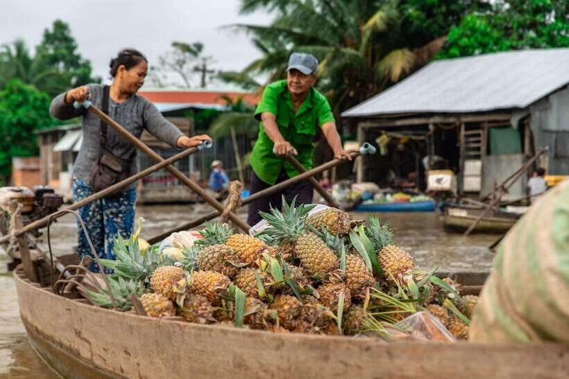Ho Chi Minh City: Cai Rang Floating Market in Can Tho Tour - Price and value: what $100 buys you in a one-day loop