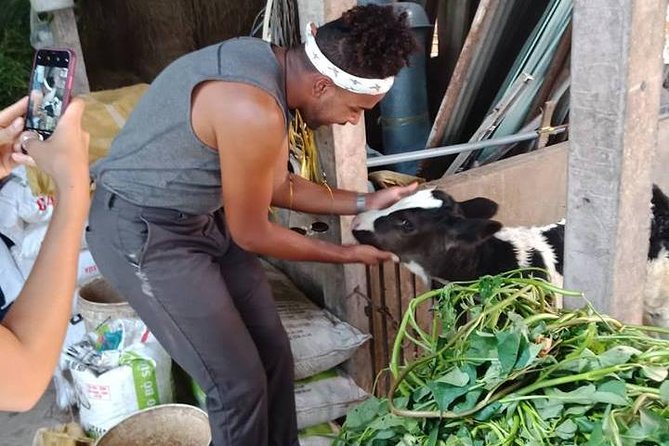 Ho Chi Minh City Full-Day Farm trip with Healthy Cooking Class - Your hands-on menu: prawn wraps, papaya salad, banana spring rolls