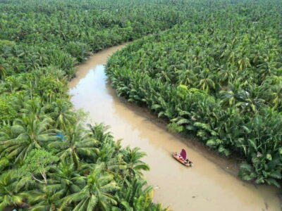Ho Chi Minh City: Mekong Delta Day Trip with Lunch & Drinks - Getting to Ben Tre: the 2.5-hour scenic drive and first reset