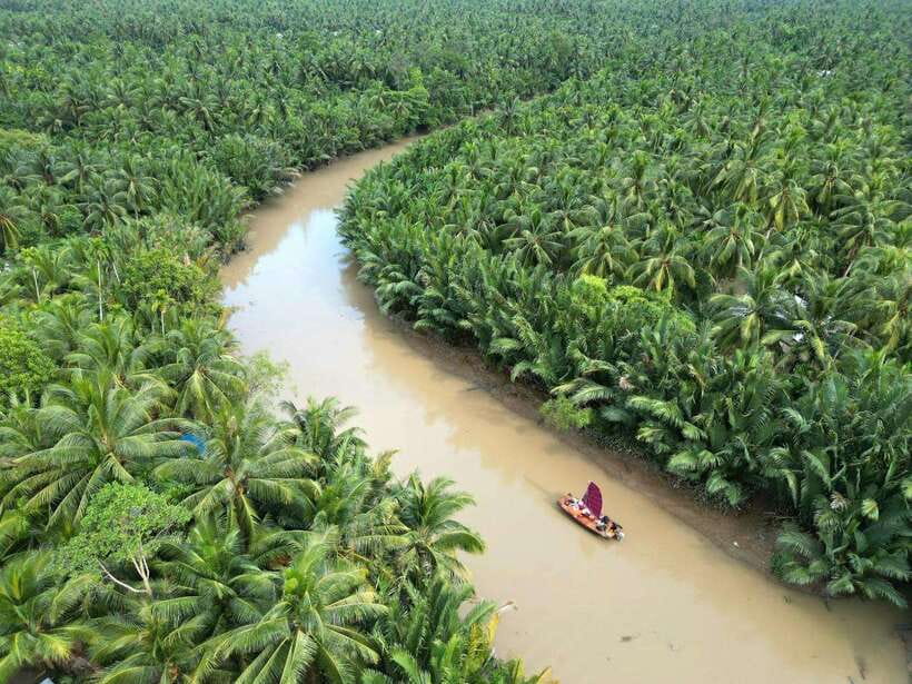 Ho Chi Minh City: Mekong Delta Day Trip with Lunch & Drinks - Getting to Ben Tre: the 2.5-hour scenic drive and first reset
