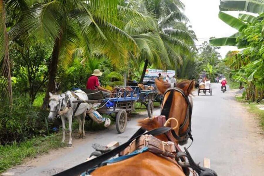 Ho Chi Minh Daily Tour: Full Day Mekong Delta (Private tour) - Price and value: is $48 per person a fair deal?