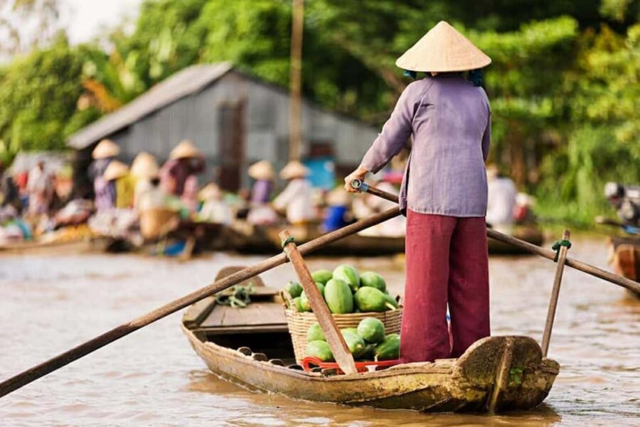 Ho Chi Minh Daily Tour: Full Day Mekong Delta (Private tour) - Why this private Mekong Delta day works better than a standard group trip