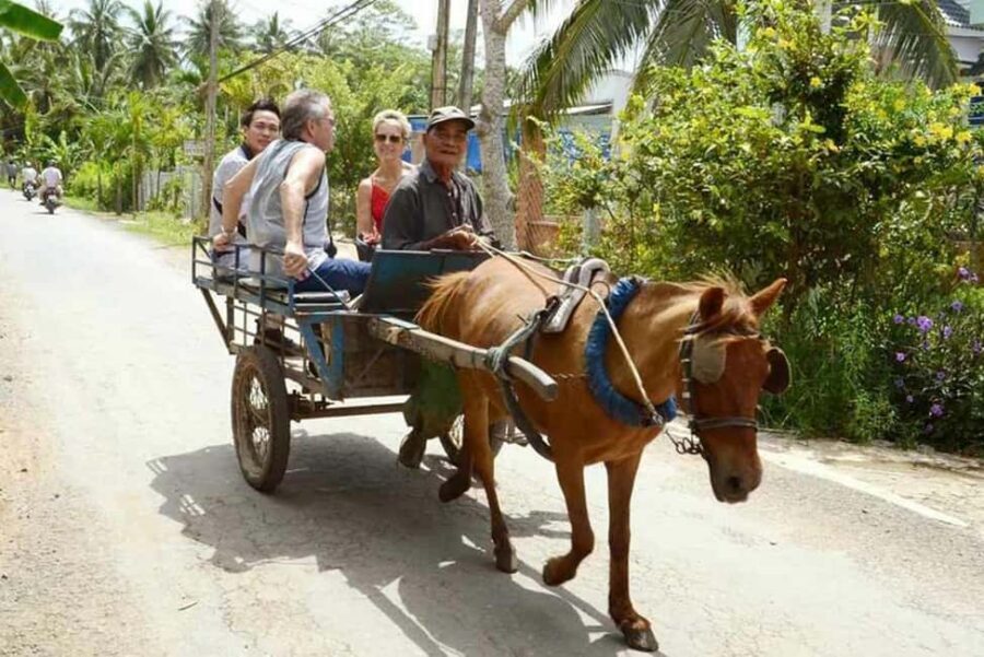 Ho Chi Minh Daily Tour: Full Day Mekong Delta (Private tour) - Transportation, timing, and what to pack for 8 hours on the move