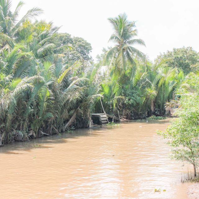Ho Chi Minh: Mekong River Islands Private Excursion - Rowing a sampan near Ben Tre: the palm-canal part