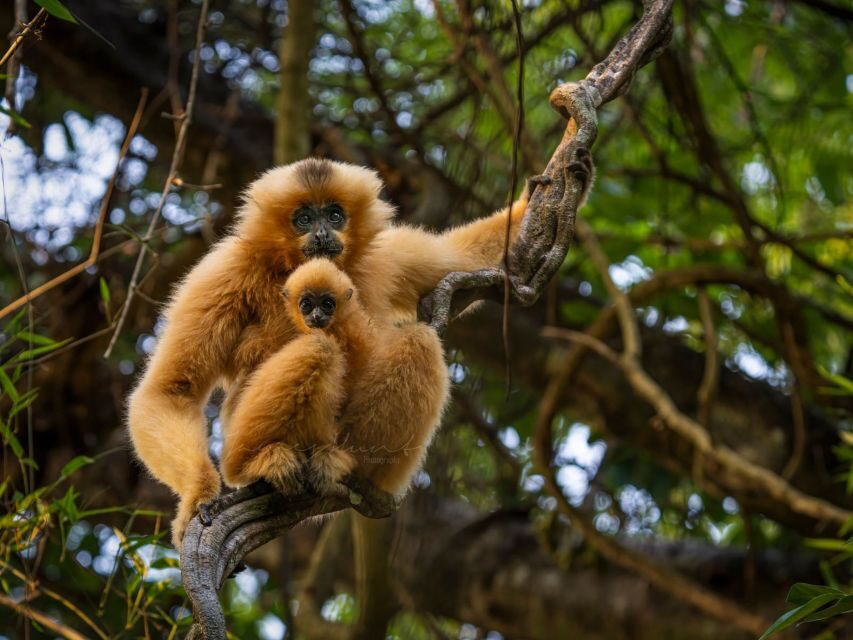 Ho Chi Minh to Cat Tien National Park – Dalat (3 days) - Cat Tien to Dalat: Coffee Farms, Pongour Waterfall, and Paradise Lake